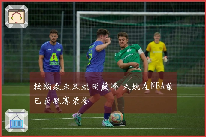 杨瀚森未及姚明巅峰 大姚在NBA前已获联赛荣誉