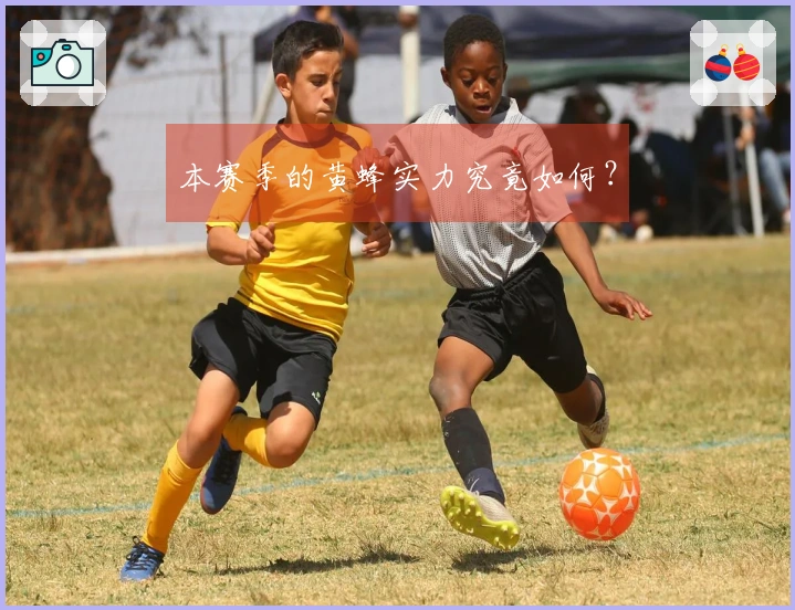 本赛季的黄蜂实力究竟如何？