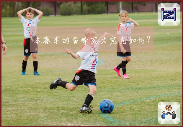 本赛季的黄蜂实力究竟如何？